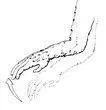 DESCRIPTION Hand and forearm move across body in a sweeping motion MEANING - фото 20