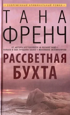 Тана Френч Рассветная бухта обложка книги