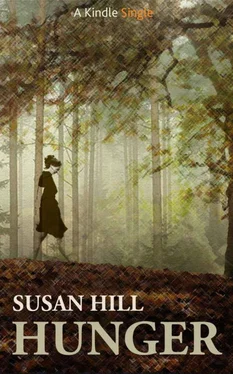 Susan Hill Hunger обложка книги