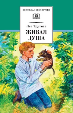 Лев Трутнев Живая душа обложка книги