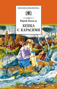 Юрий Коваль Кепка с карасями (сборник) обложка книги