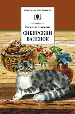 Светлана Вьюгина Сибирский валенок обложка книги