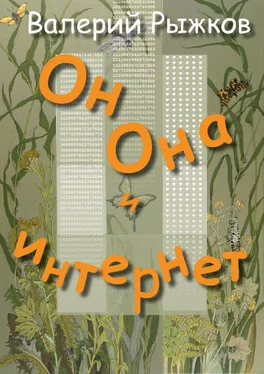 Валерий Рыжков Он, Она и интернет обложка книги