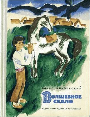 Ванчо Николеский Волшебное седло обложка книги