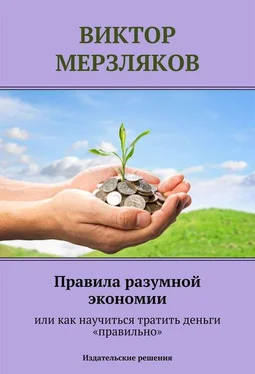 Виктор Мерзляков Правила разумной экономии или как научиться тратить деньги «правильно» обложка книги