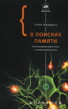 Эрик Кандель В поисках памяти обложка книги