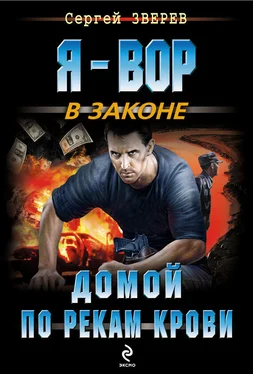 Сергей Зверев Домой по рекам крови обложка книги