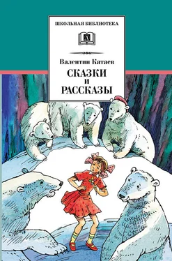 Валентин Катаев Сказки и рассказы обложка книги