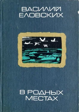 Василий Еловских В родных местах обложка книги