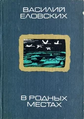 Василий Еловских - В родных местах