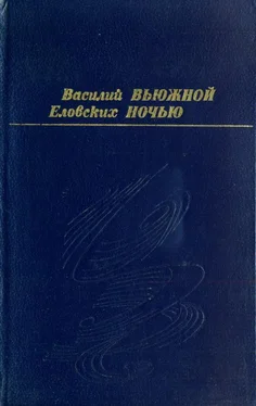 Василий Еловских Вьюжной ночью обложка книги