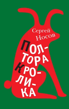 Сергей Носов Полтора кролика (сборник)