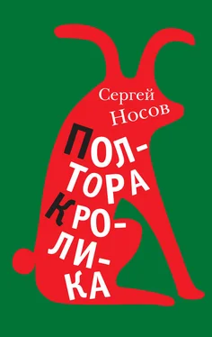 Сергей Носов Полтора кролика (сборник) обложка книги