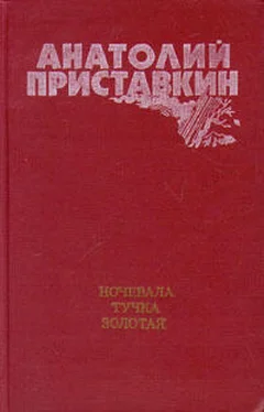 Анатолий Приставкин Ночевала тучка золотая обложка книги