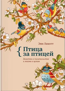 Энн Ламотт Птица за птицей. Заметки о писательстве и жизни в целом обложка книги