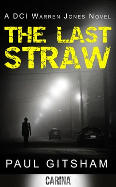 Paul Gitsham The Last Straw обложка книги