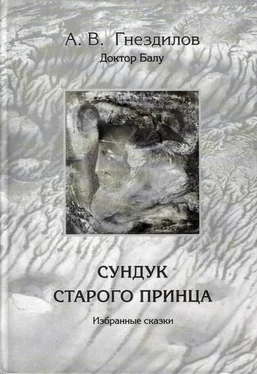 Андрей Гнездилов Сундук старого принца обложка книги