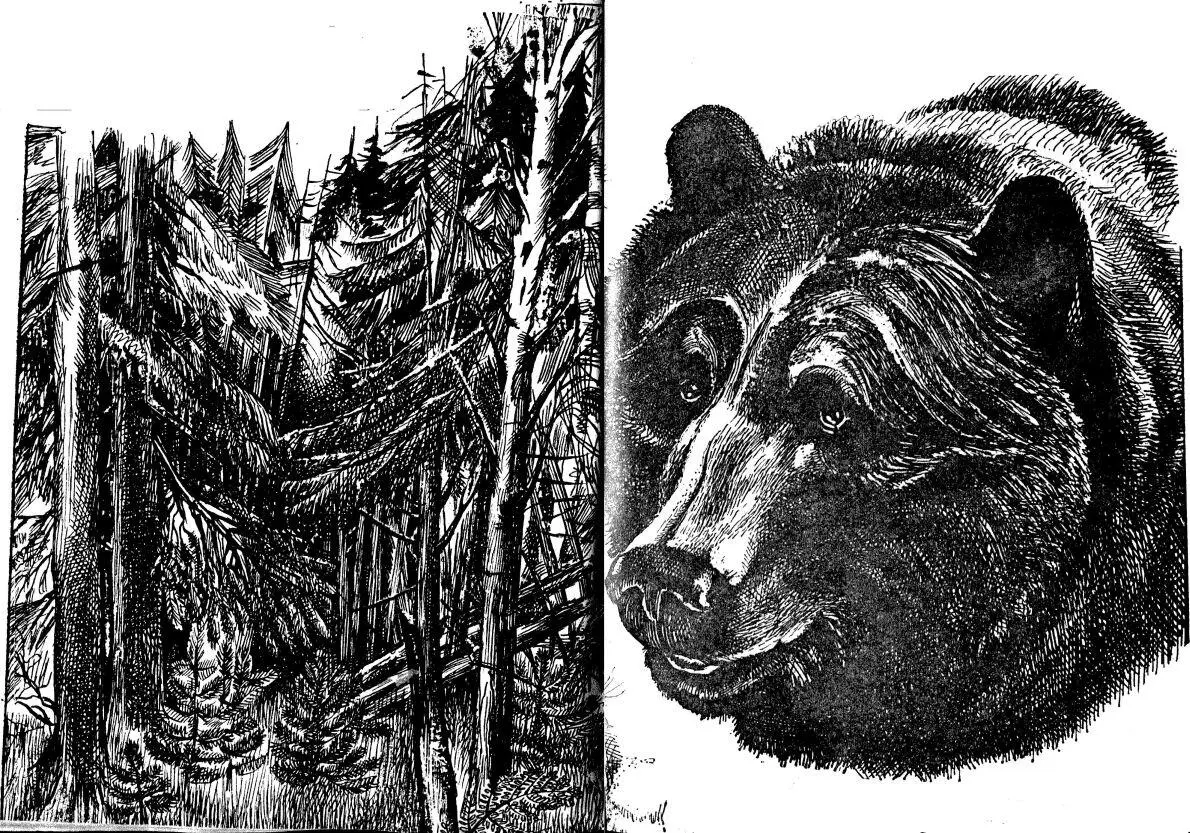 Из кинофильмов и из книг мы знаем о том что на Земле есть пустыни тропические - фото 28