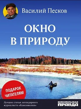 Василий Песков Окно в природу