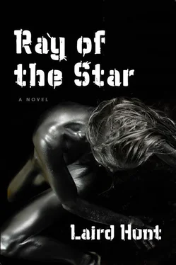 Laird Hunt Ray of the Star обложка книги