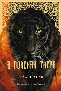 Коллин Хоук В поисках тигра (ЛП) обложка книги