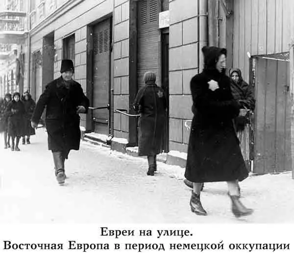 В этой книге он объединил теорию Вагнера об арийской расе господ с теорией - фото 17