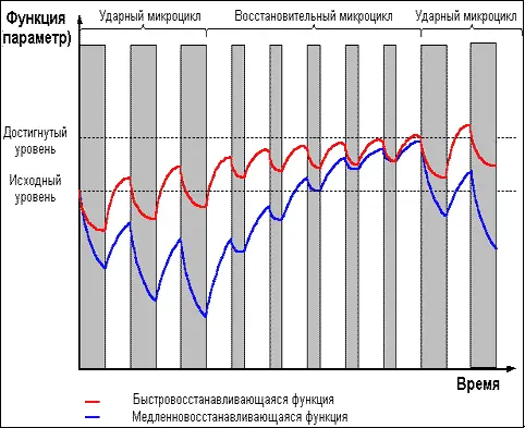 Рис 5 На принципе чередования ударных и восстановительных микроциклов - фото 22