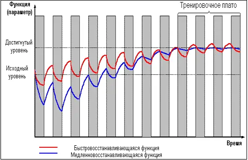 Рис 6 На рисунке для простоты изображен только один цикл функционального - фото 23