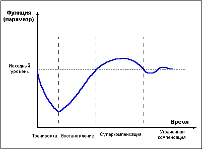 Рис1 Фаза суперкомпенсации длится не вечно постепенно уровень энергетических - фото 6