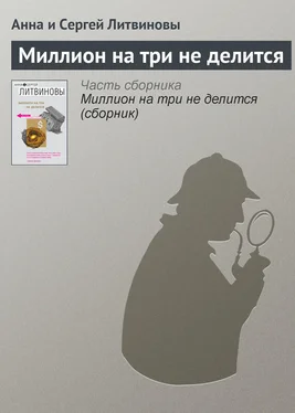 Анна и Сергей Литвиновы Миллион на три не делится обложка книги