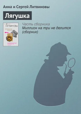 Анна и Сергей Литвиновы Лягушка обложка книги