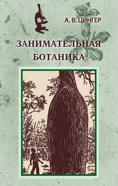 Александр Цингер Занимательная ботаника обложка книги