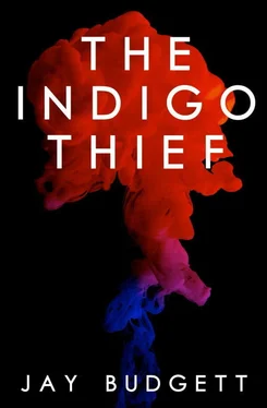 Jay Budgett The Indigo Thief обложка книги