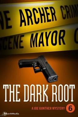 Archer Mayor The Dark Root обложка книги