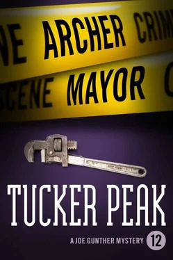 Archer Mayor Tucker Peak обложка книги