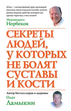 Олег Ламыкин Секреты людей, у которых не болят суставы и кости обложка книги