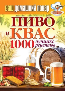 Сергей Кашин Пиво и квас. 1000 лучших рецептов обложка книги