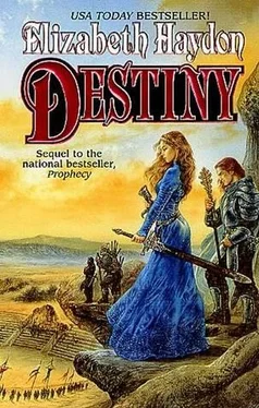 Elizabeth Haydon Destiny: Child of the Sky обложка книги