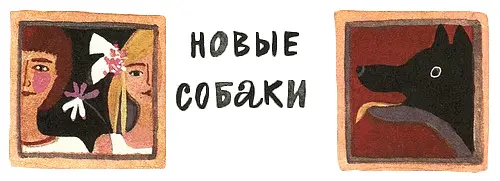 Новые собаки Дельфинята затаив дыхание следили за незнакомыми существами - фото 27