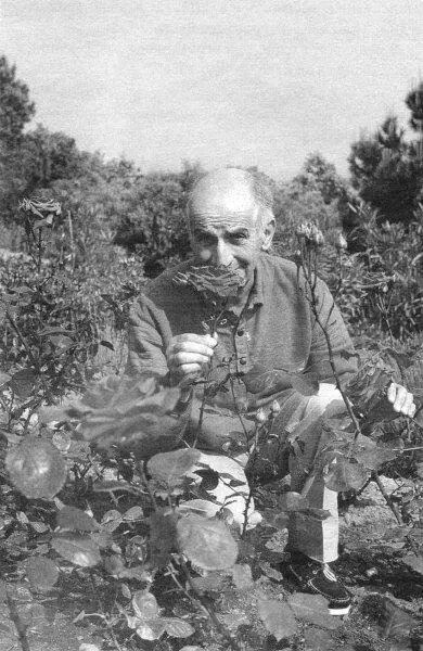 Michel JeanneauKipaCorbisРФГ Луи де Фюнес похоронен в парке собственного - фото 17