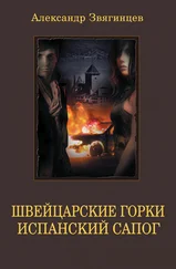Александр Звягинцев - Швейцарские горки. Испанский сапог (сборник)