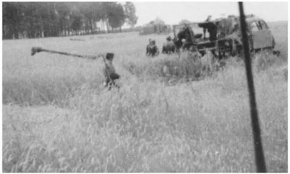 An RSO with a 75 cm Pak 40 on a trailer parked in a corn field July 1944 - фото 30