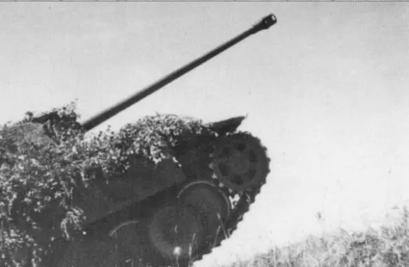 A Panther climbing over a ditch A Panther wades across a waterway A Panther - фото 33