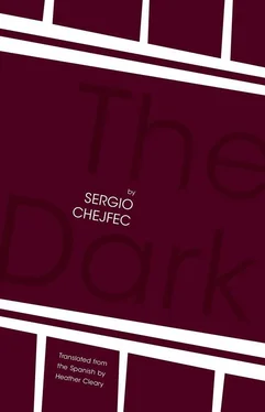 Sergio Chejfec The Dark обложка книги