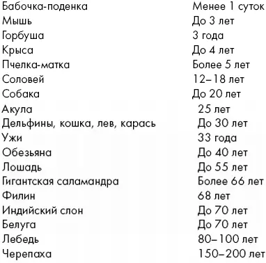 Несомненно в каждом конкретном случае продолжительность жизни определяют и - фото 47