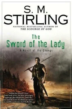 S. Stirling The Sword of the Lady обложка книги