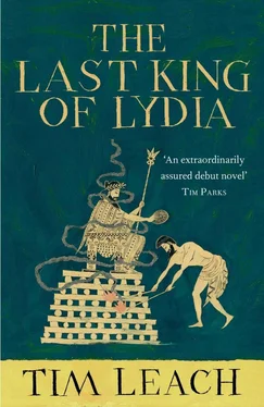 Tim Leach The Last King of Lydia обложка книги