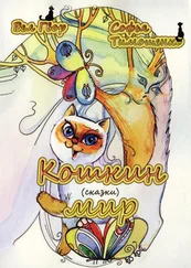Вел Гвор - Кошкин мир (сборник)