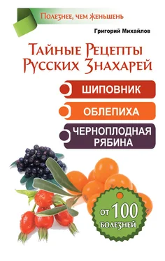 Григорий Михайлов Тайные рецепты русских знахарей. Шиповник, облепиха, черноплодная рябина. От 100 болезней обложка книги