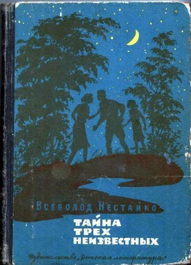 Всеволод Нестайко Тайна трех неизвестных обложка книги